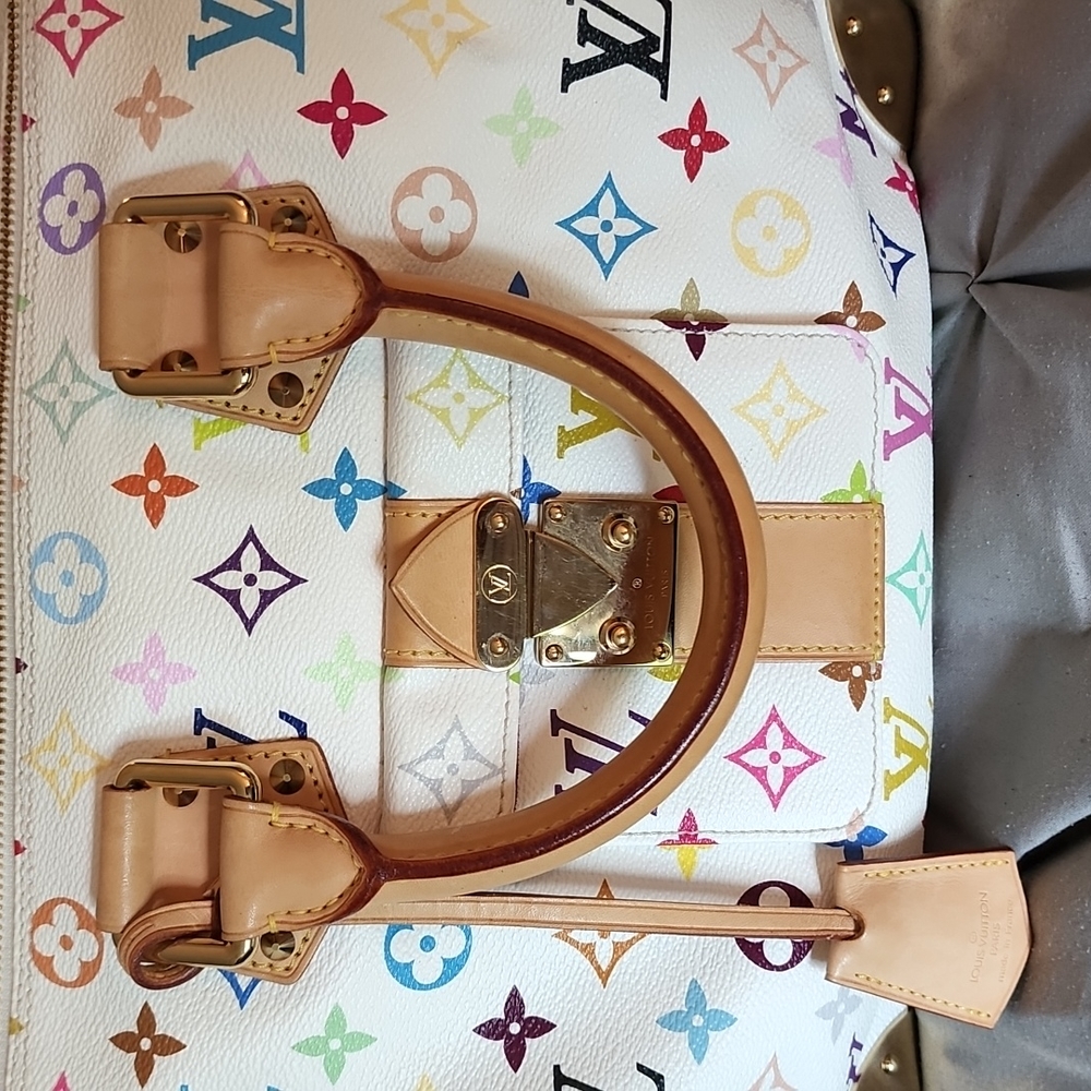 Multicolore vuitton speedy